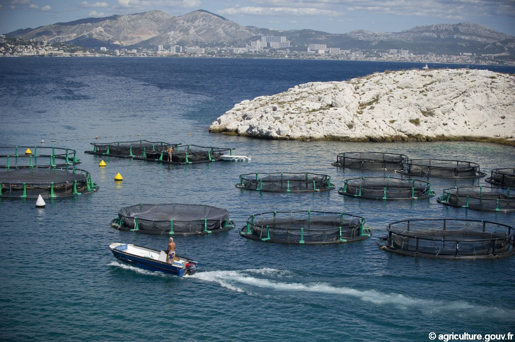 Ferme aquacole marine "Provence Aquaculture" [Marseille]
