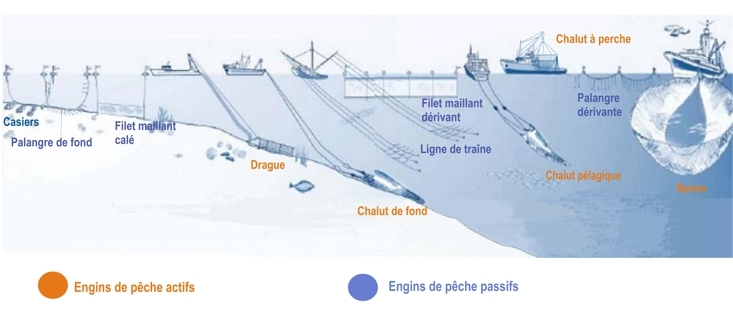 Exemple d’engins de pêche