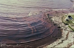 Amoco-Cadiz : pollution du littoral breton [© Cedre Verney]