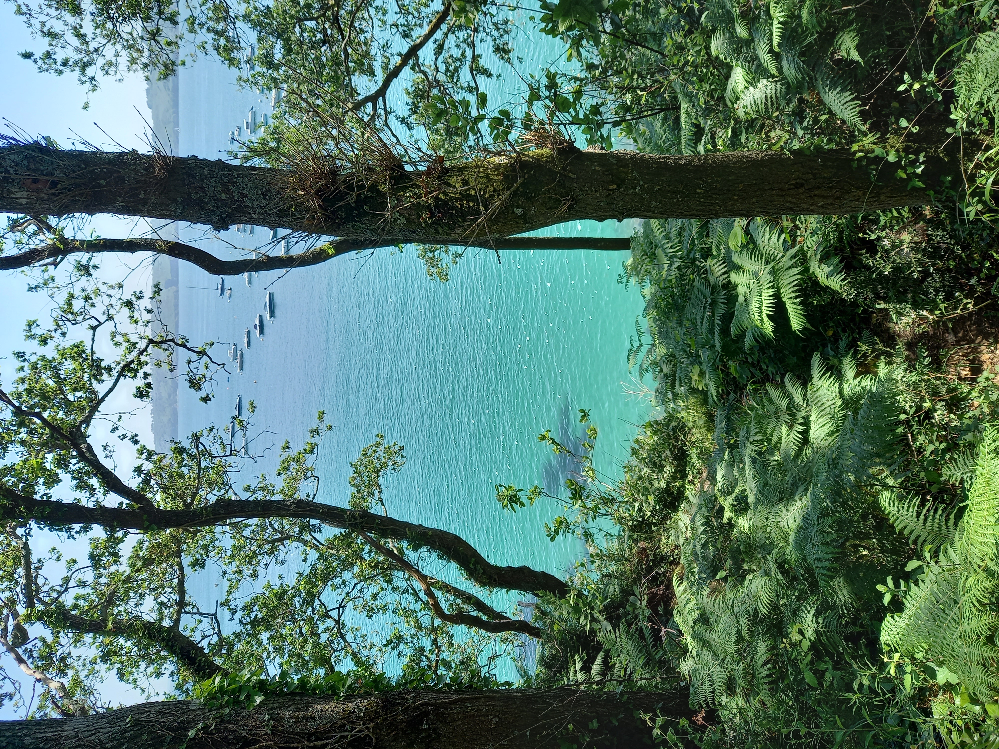 Vue sur la rade de Brest depuis Plouzané - Finistère - © A. Valadier - Cerema