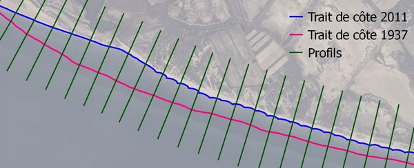 Exemple de profils générés par le logiciel MobiTC intersectant les traits de côte levés,